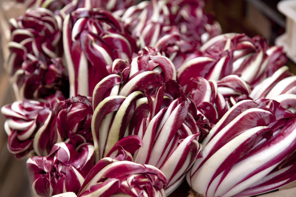 Bundles of arrowroot