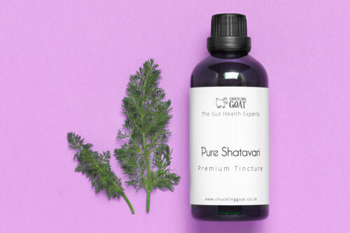 Pure Shatavari - Premium Tincture