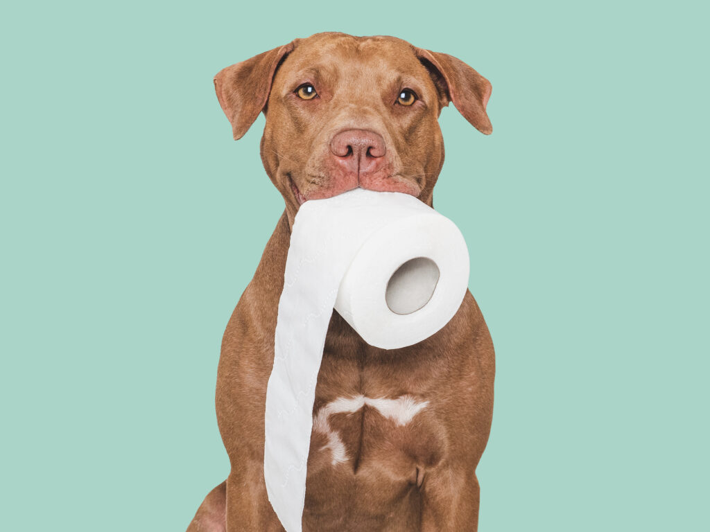 Let’s talk about poo posture! 🚽