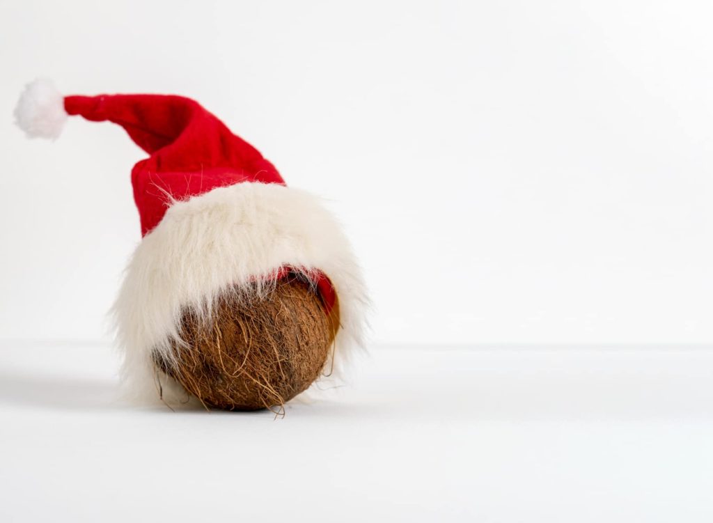 Festive nut roast