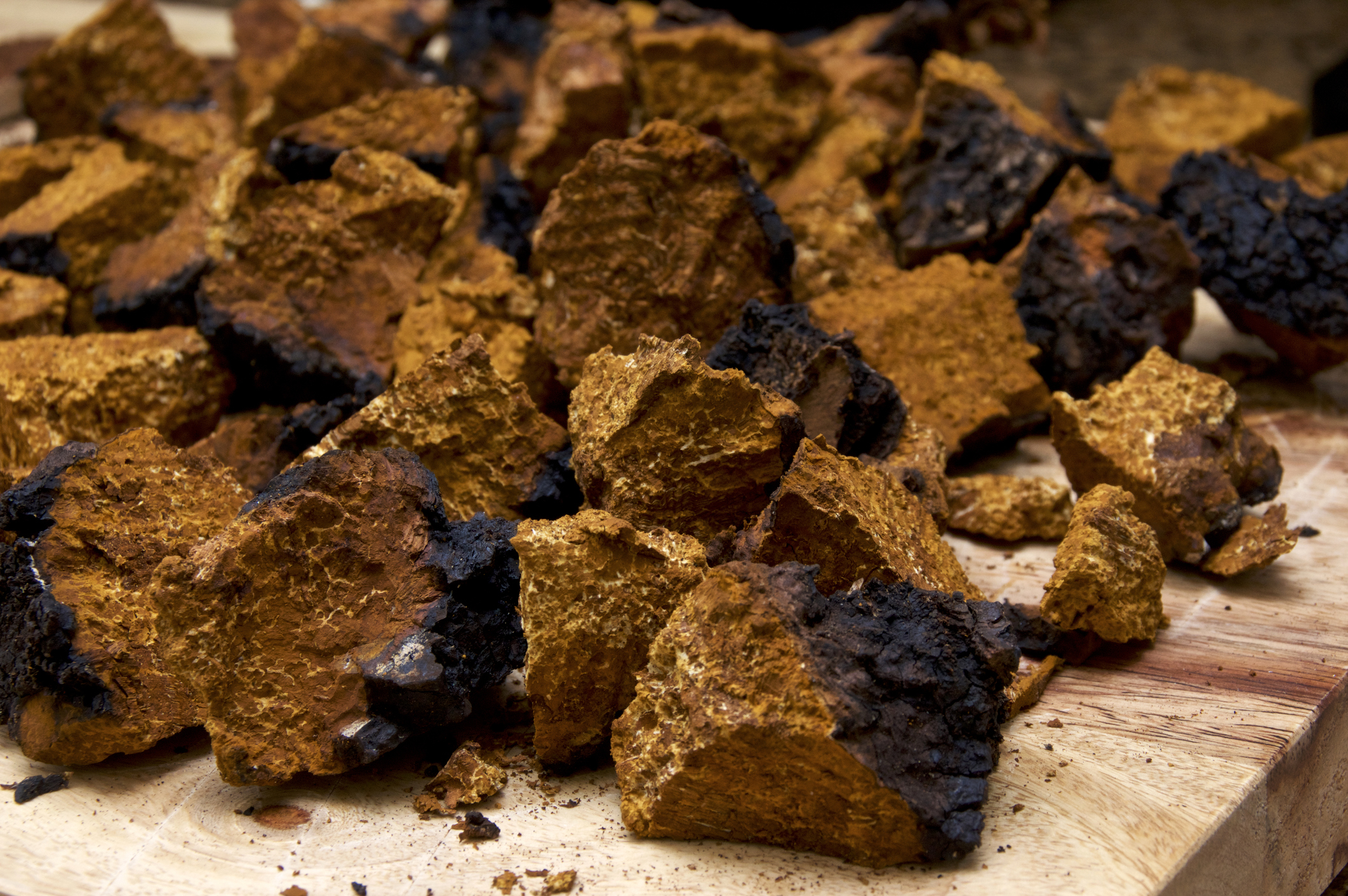 Chaga mushrooms