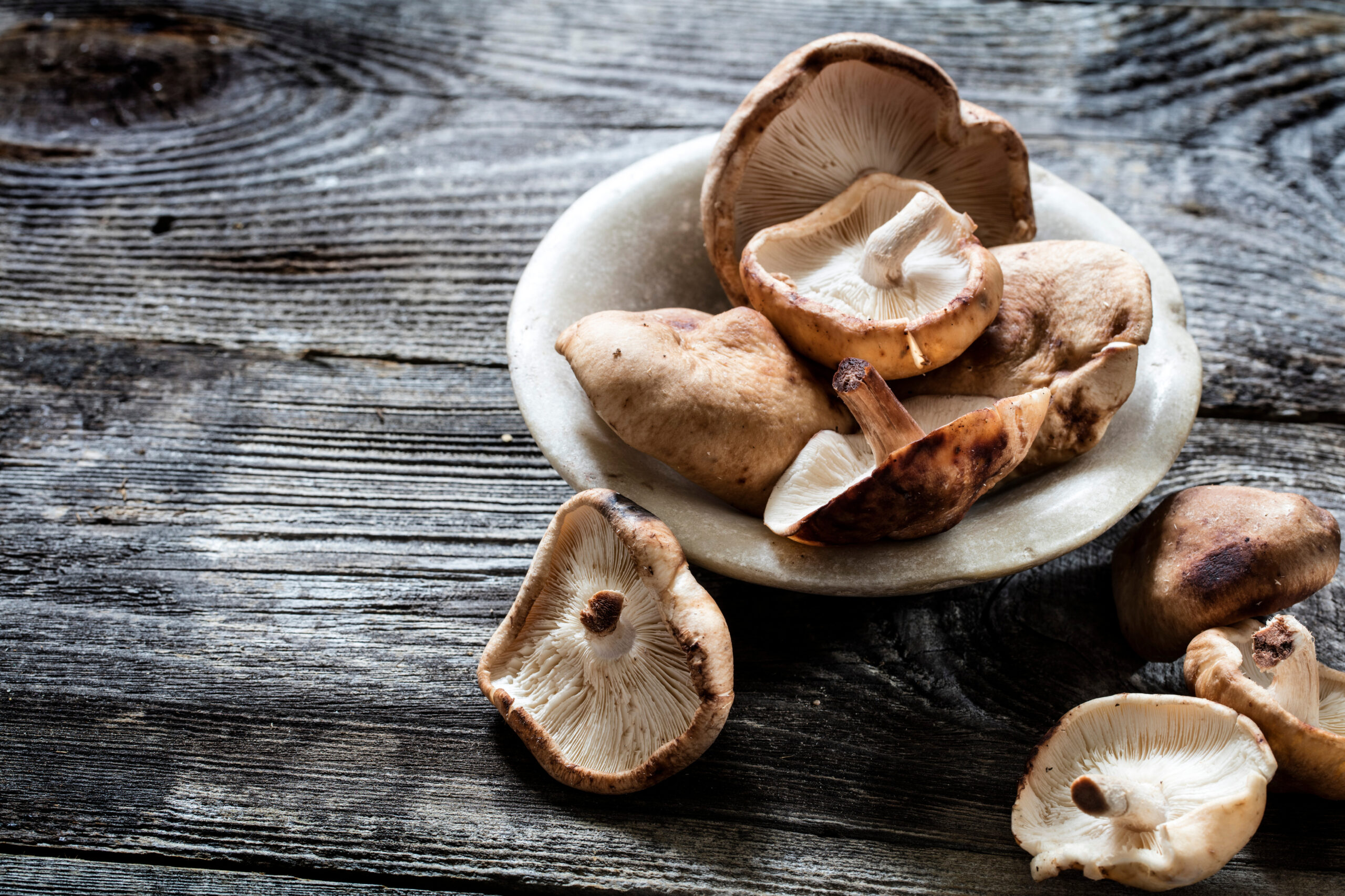 Shiitake mushrooms