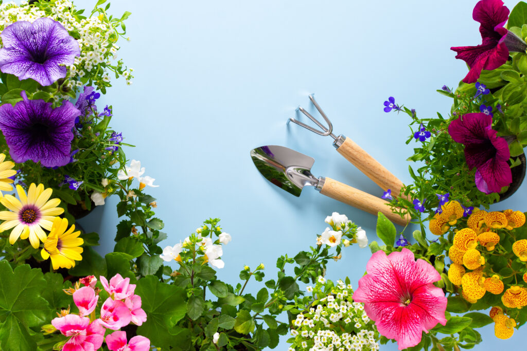 How your gut microbiome is like a garden