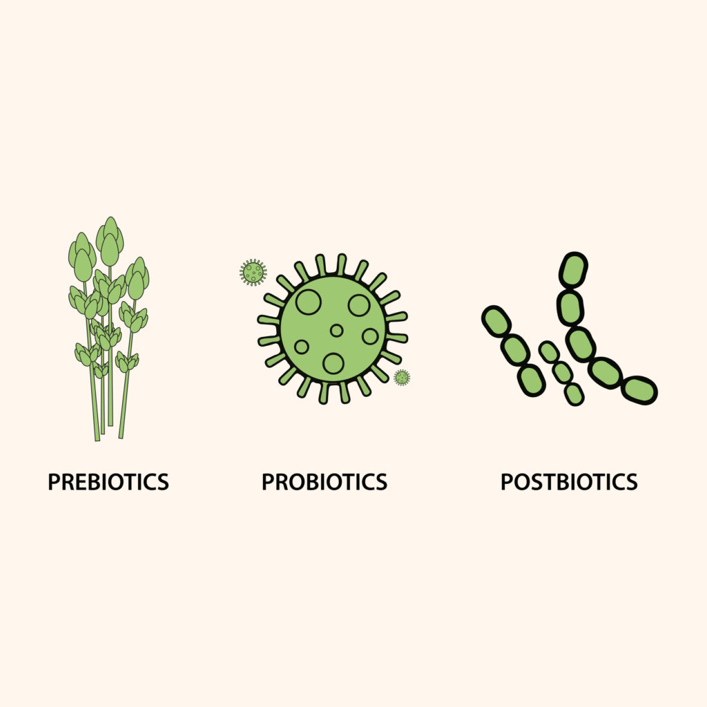 The power of postbiotics