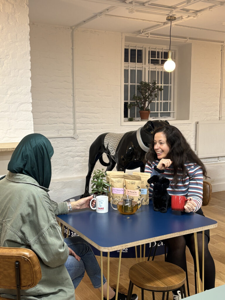Our Random Acts of Kindness Campaign - SANE, Mental Health Charity | Chuckling Goat
