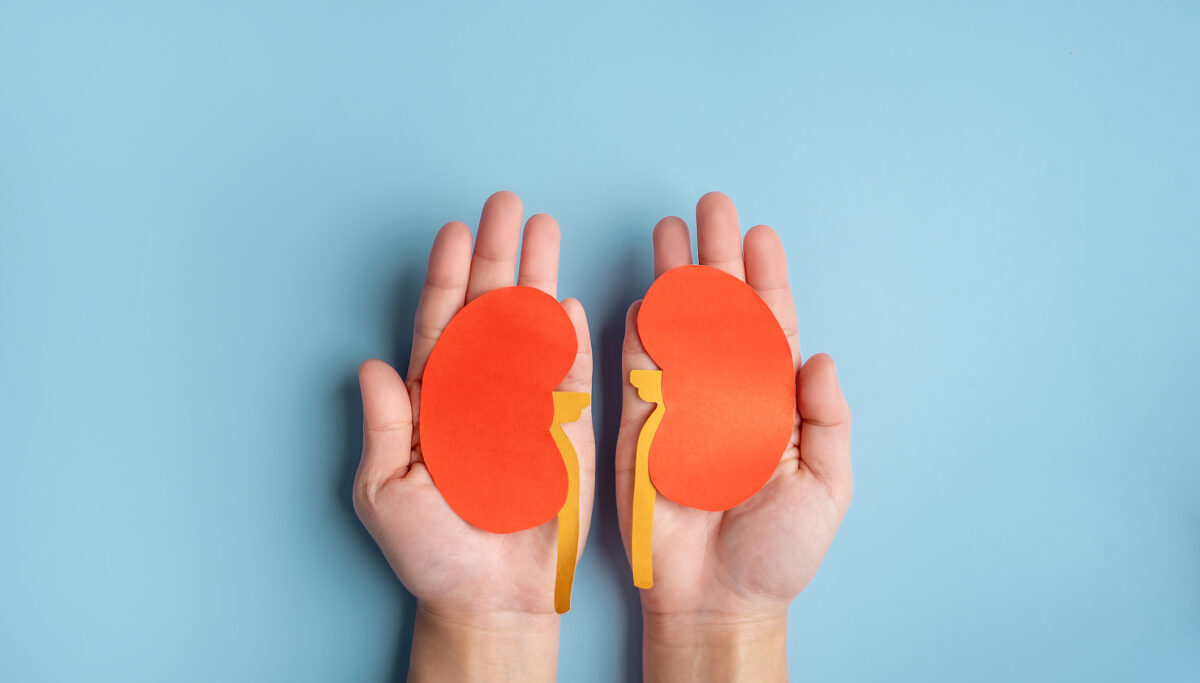 World kidney day. Human hands holding healthy kidney shape made from paper on light blue background.