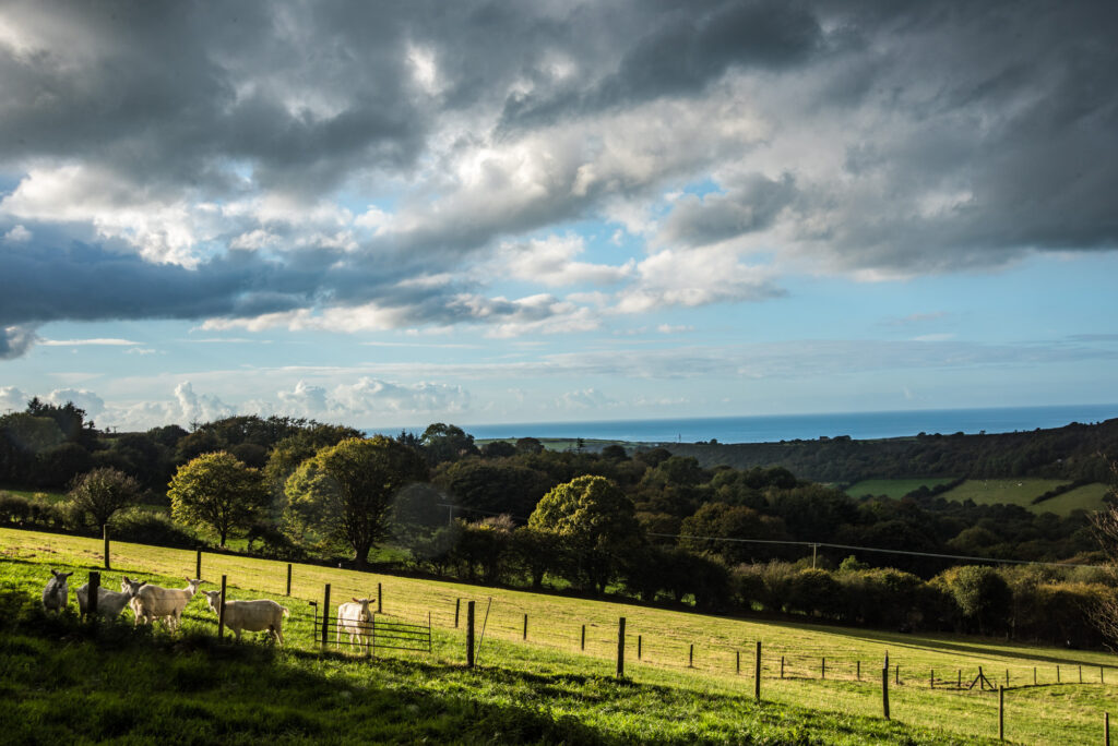 Behind the scenes at the farm…