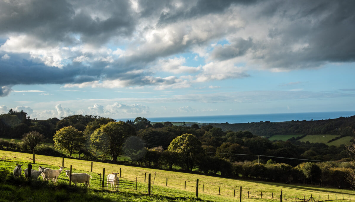 Farm on a cloudy day