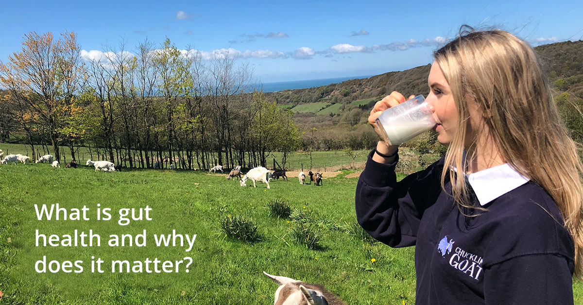 Photo of blond woman at Chuckling Goat farm drinking goat's milk Kefir. Text says 'what is gut health and why does it matter'