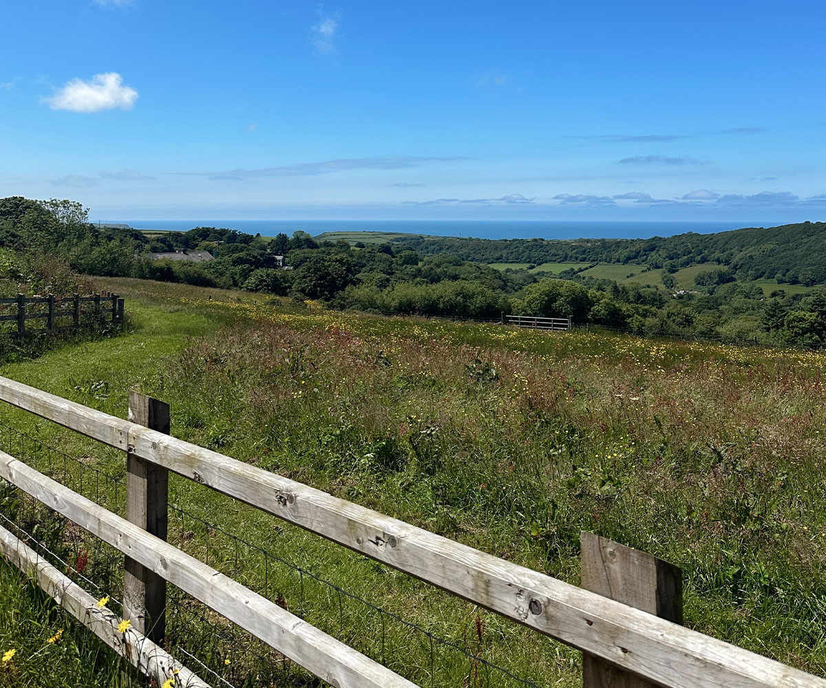 The Chuckling Goat farm.