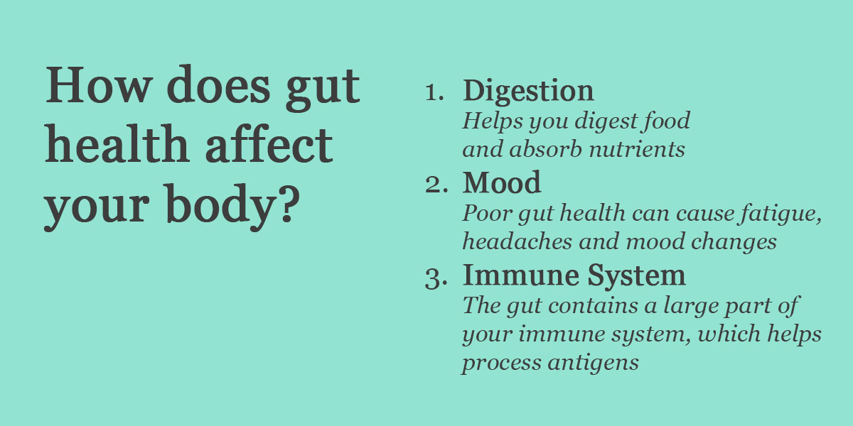 The key points around how gut health affects your body.