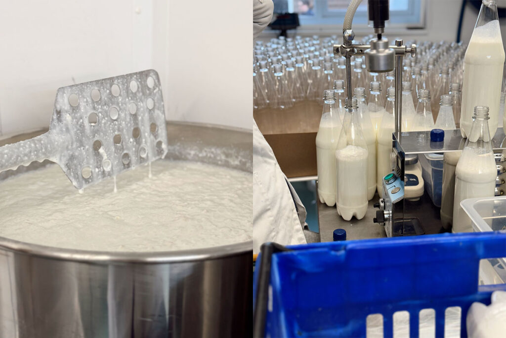 Image of kefir being made and bottled at Chuckling Goat Head Quarters.