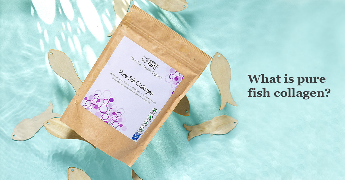 Image of Pure Fish Collagen on blue water background with pictures of fish. Titled What is Pure Fish Collagen.