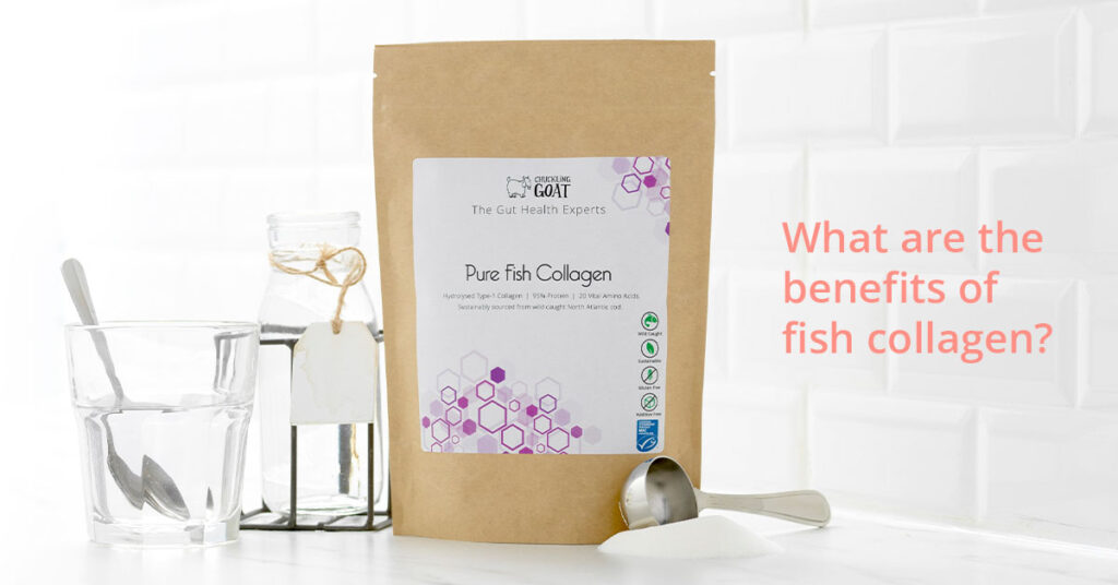 The true benefits of fish collagen