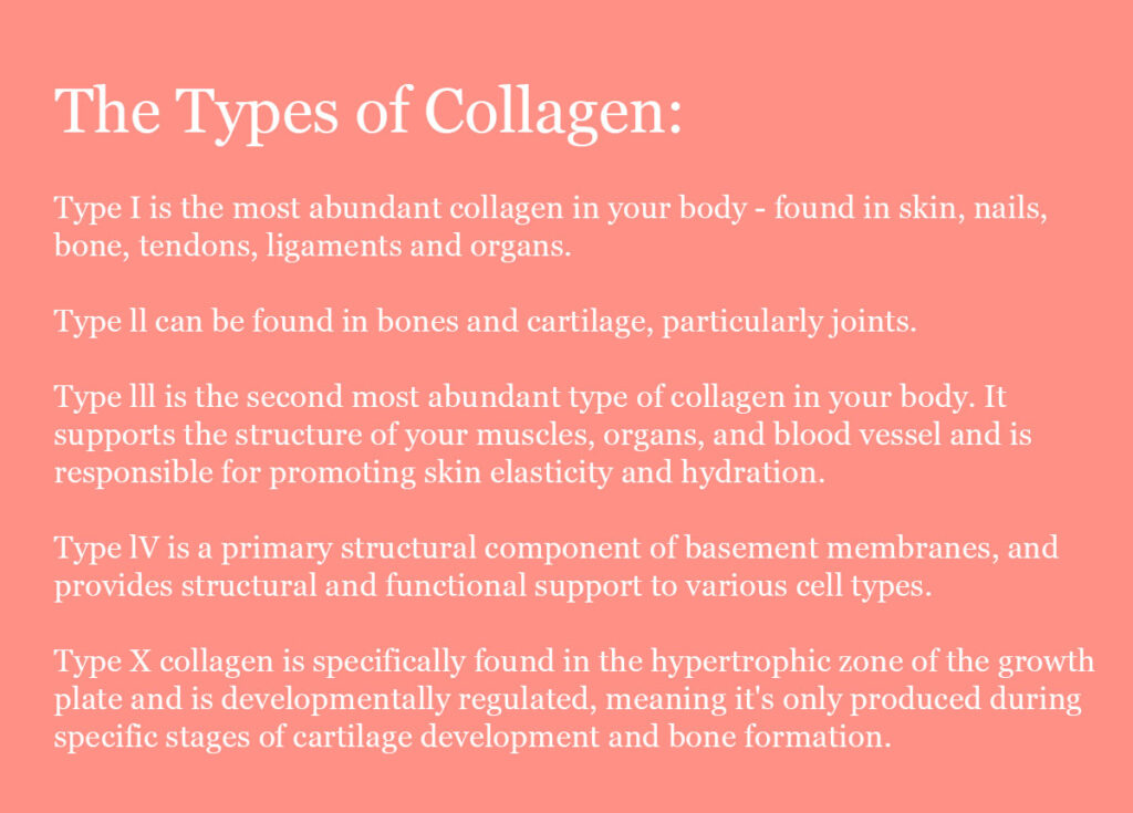 The different types of Collagen