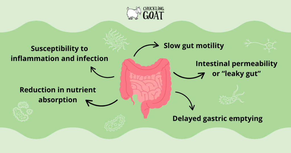 Image showing how stress can adversely affect gut health e.g. inflammation, slow gut motility. Green background with cartoon image of intestines.