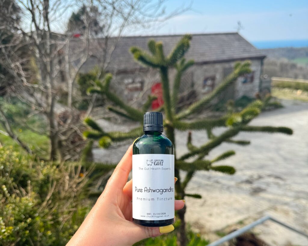 Why I take ashwagandha EVERY day…