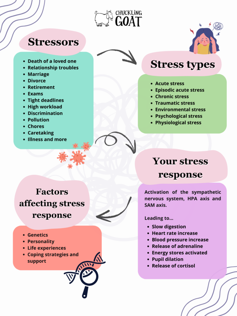 Stressors, stress types, factors affecting the stress response, and your stress response (diagram). 