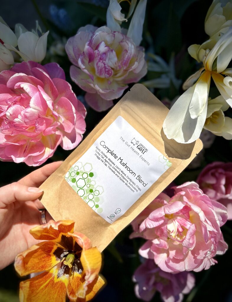 Feeling Blue? How Mushrooms Can Make You Happier!