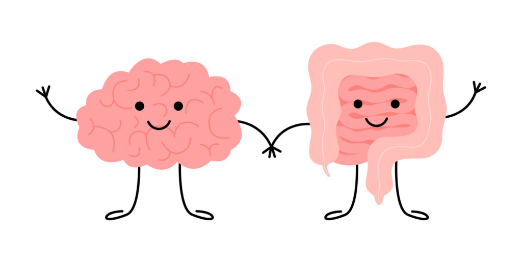 Connection of cute healthy happy brain and intestine gut characters. Relation health of human brain and gut, second brain. Unity of mental and digestive. Vector cartoon illustration