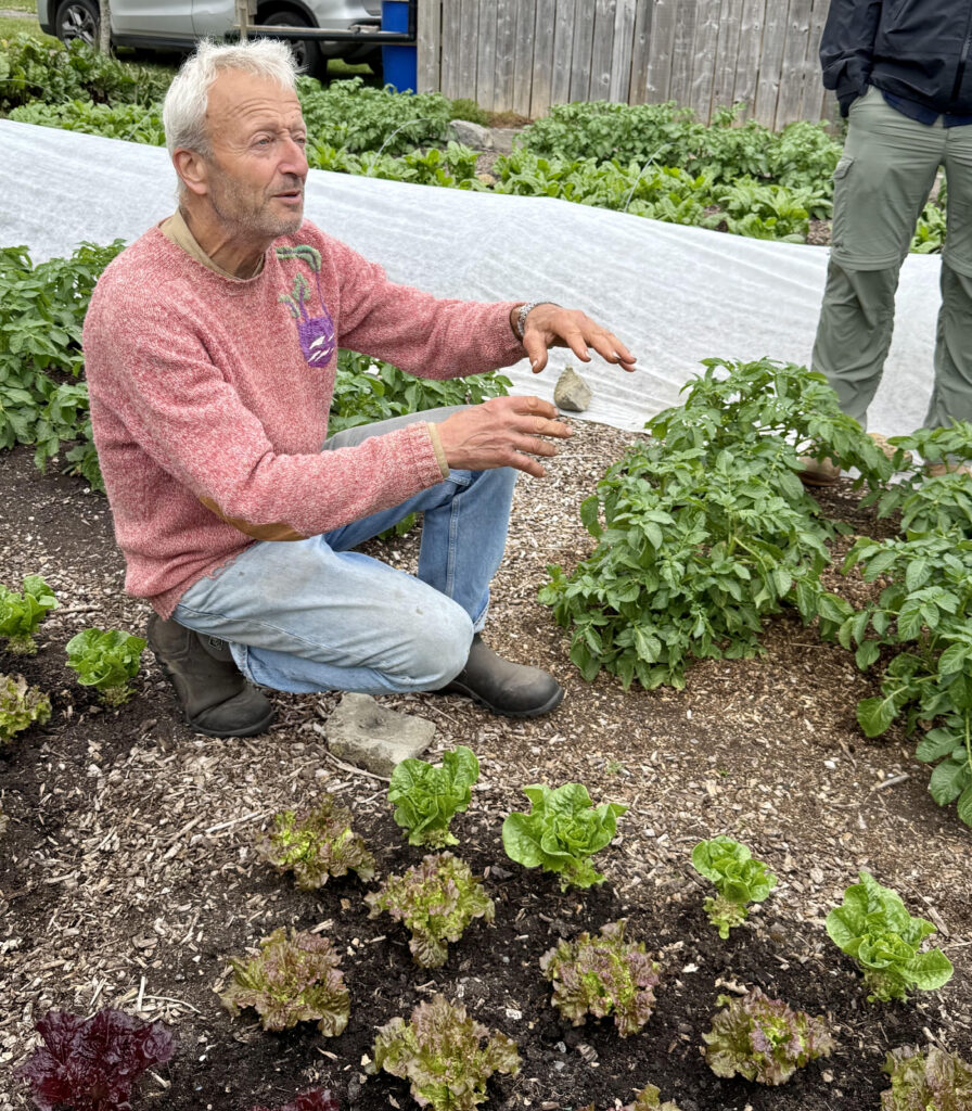 Why you should NEVER dig your garden!