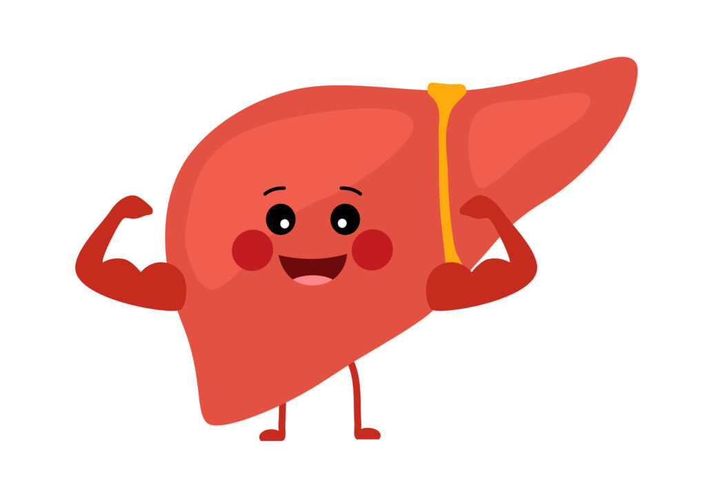 An animated image of the liver, including a smiley face, arms, and legs.