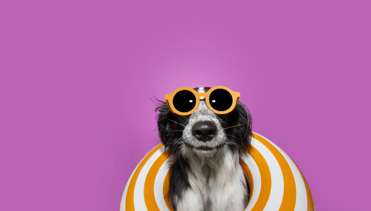 5 daily tips to stay healthy on your holiday! | Chuckling Goat