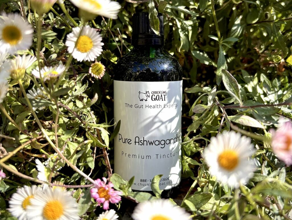Image of Chuckling Goat Pure Ashwagandha Premium Tincture among daisies in garden.