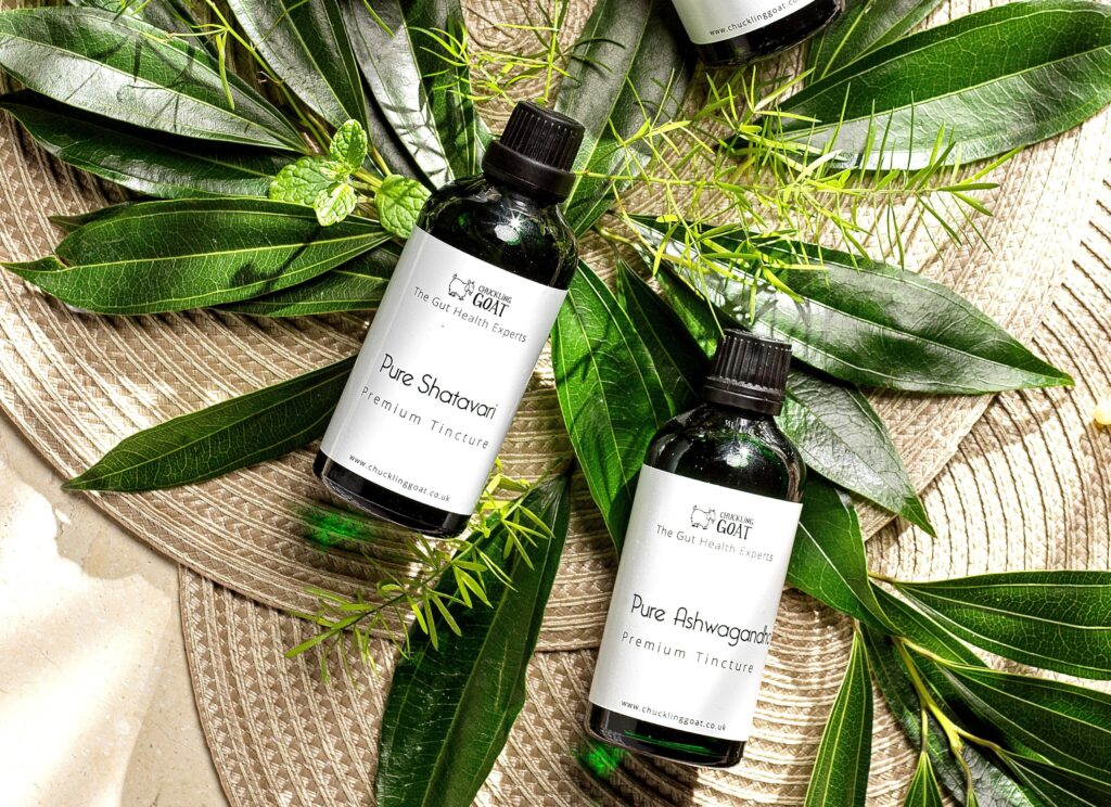 Tired, Wired, or Fiery? Here’s How to Rebalance Fast (Gut-Hormone Connection 101)