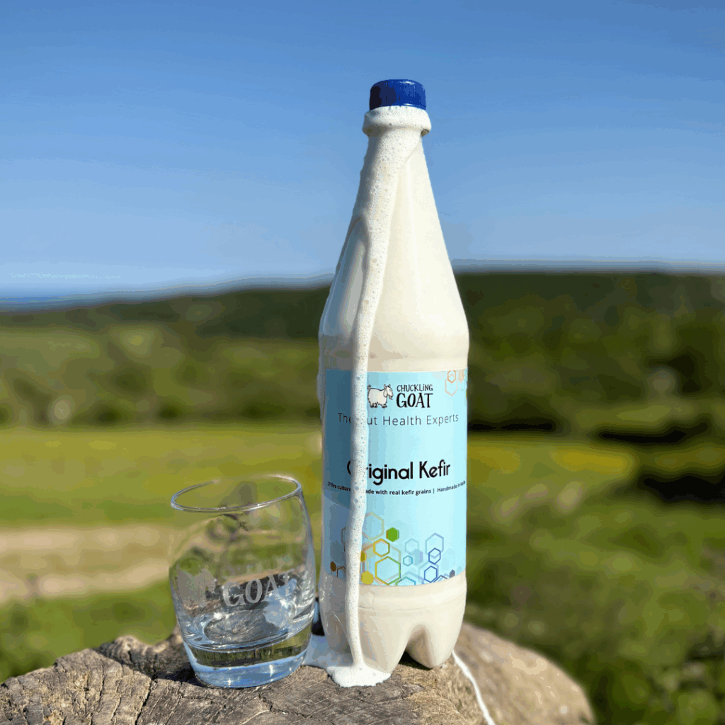 Where did kefir come from?