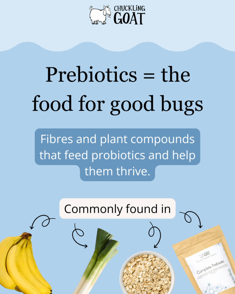 Pin/image of what prebiotics are and examples. Blue background. Canva design.