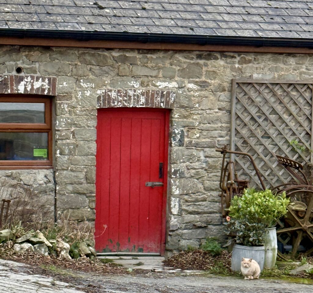 Why Shann is not in Dubai...and what's in it for you? | Chuckling Goat