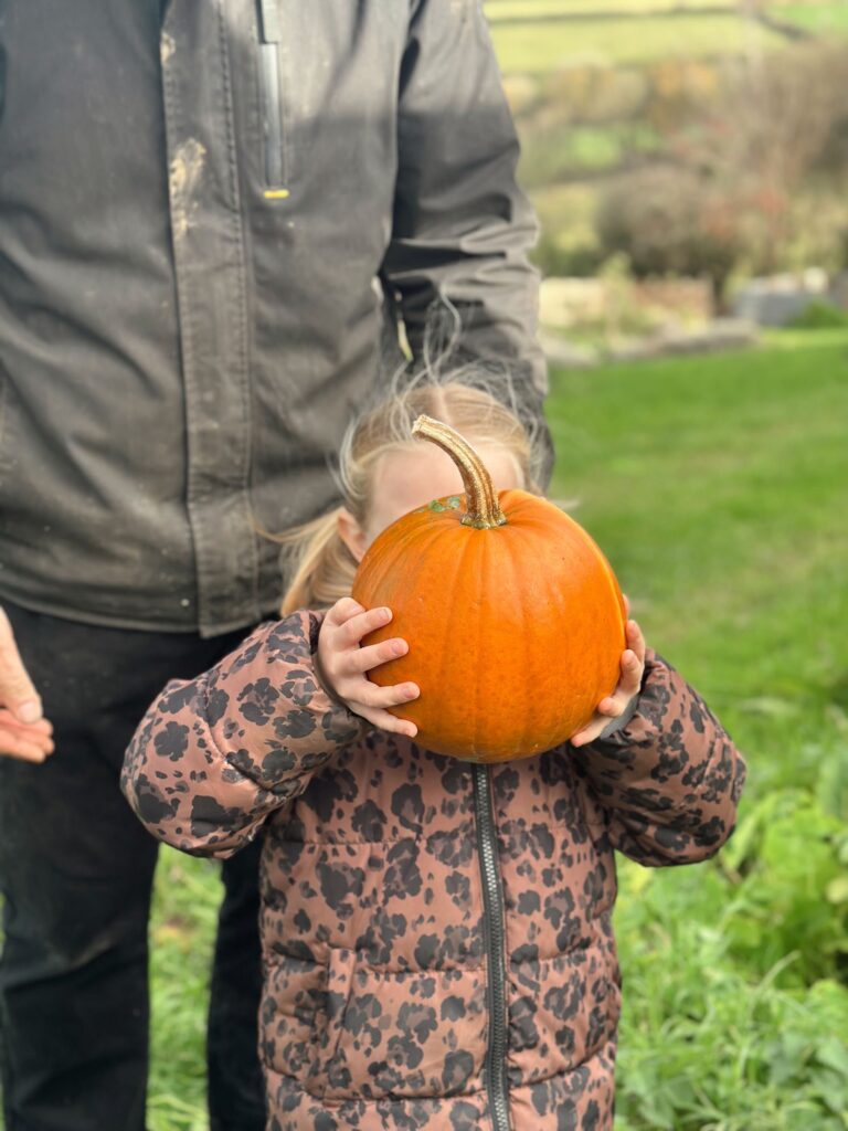 Little hands, BIG pumpkins 🎃 | Chuckling Goat