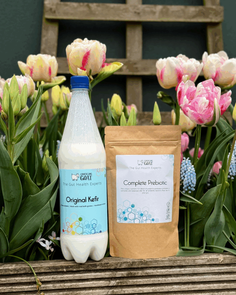 Getting cold! Getting dark! Time to get Immuned Up! | Chuckling Goat