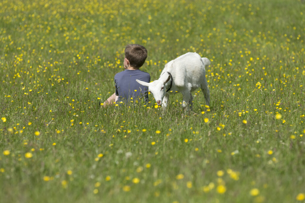 10 Lies Women Tell Themselves | Chuckling Goat