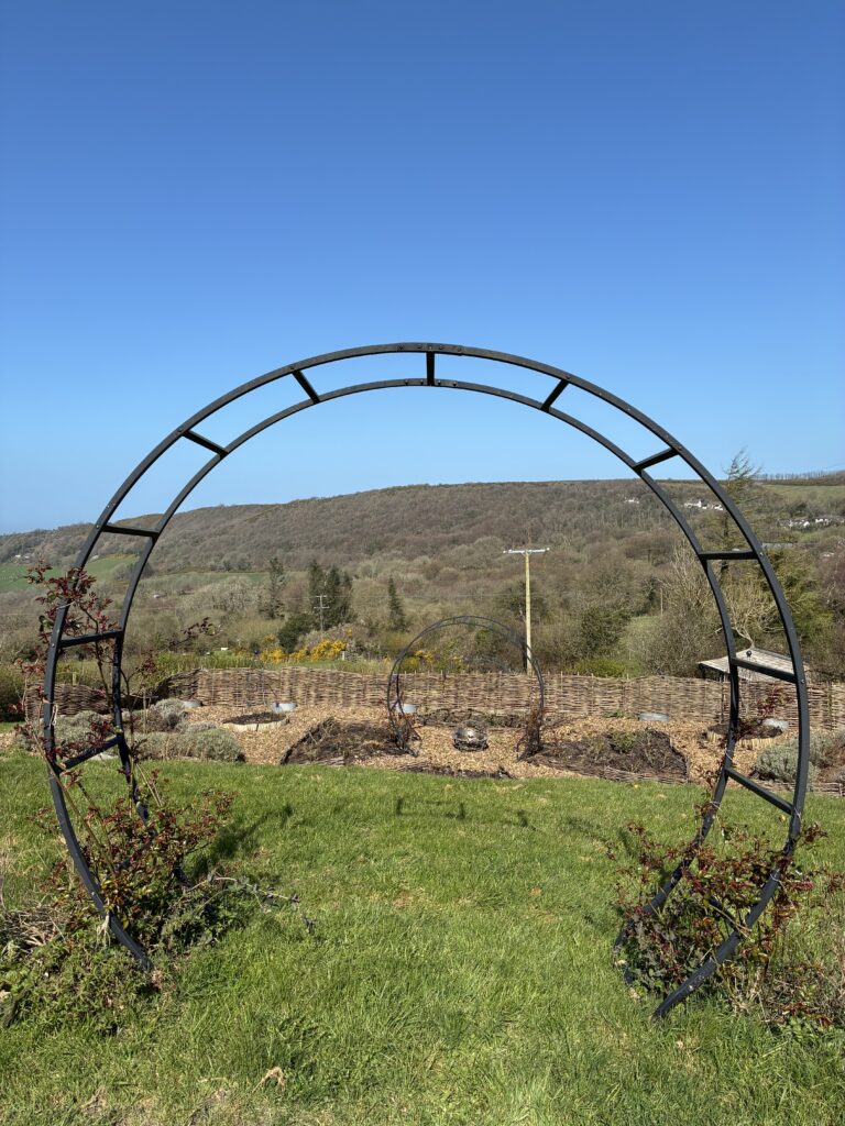 The Lady of Two Pitchers...Or, What Happened When My Chicken Died | Chuckling Goat