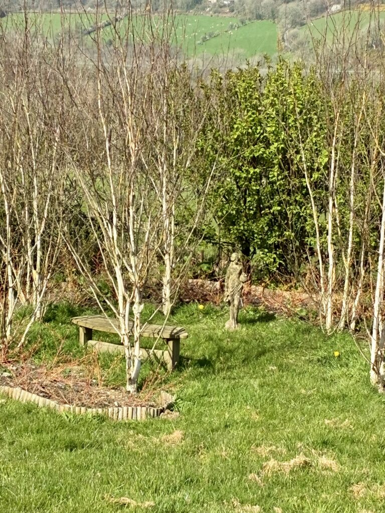 The Lady of Two Pitchers...Or, What Happened When My Chicken Died | Chuckling Goat