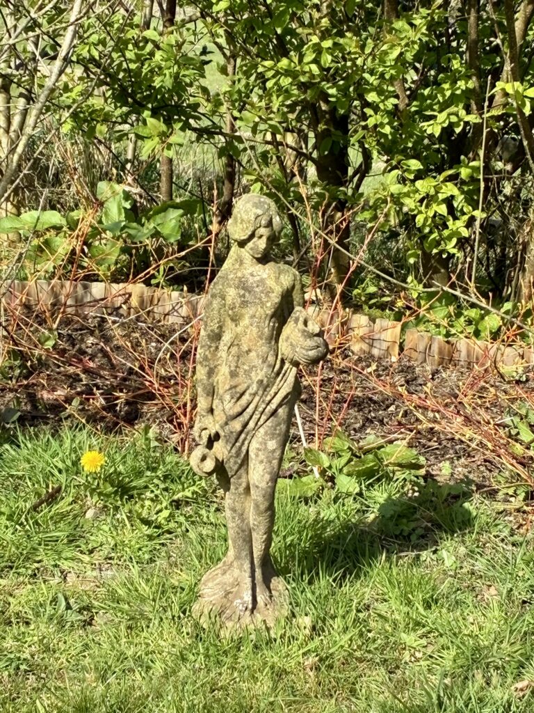 The Lady of Two Pitchers...Or, What Happened When My Chicken Died | Chuckling Goat