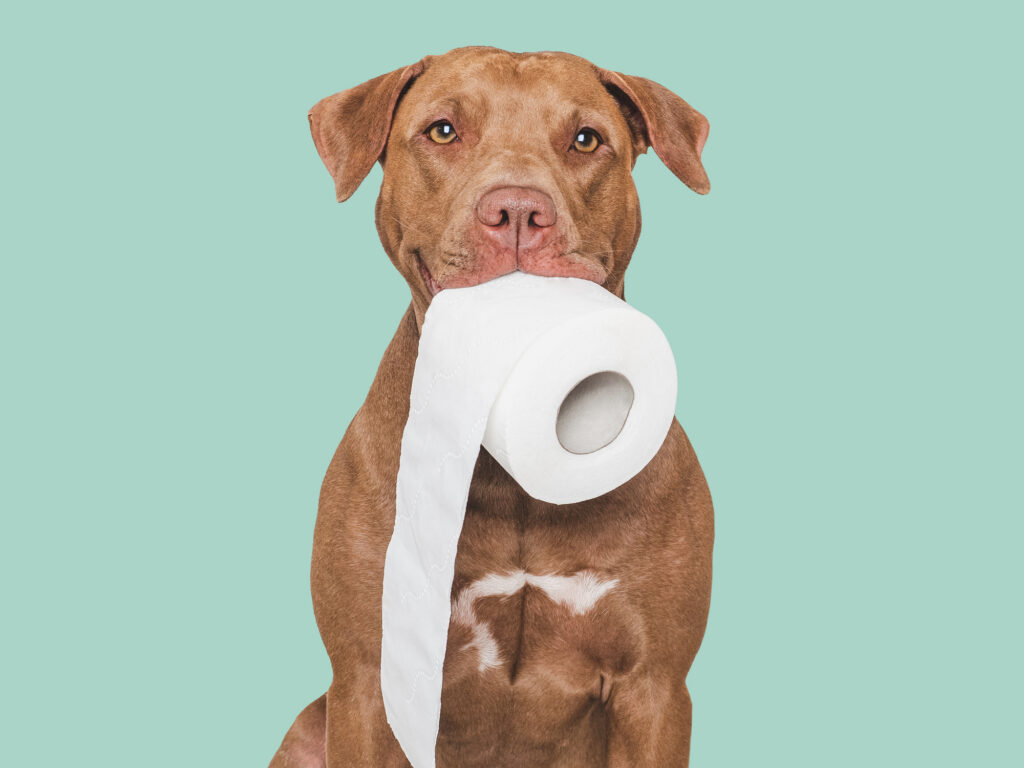 Constipation relief: 7 proven morning habits to help you ‘go’